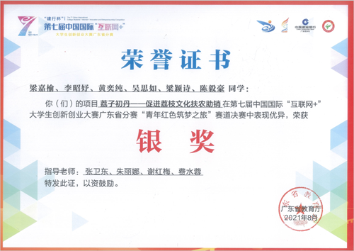 2.互联网+创业大赛 银奖2021.8.png 2.互联网+创业大赛 银奖2021.8.png