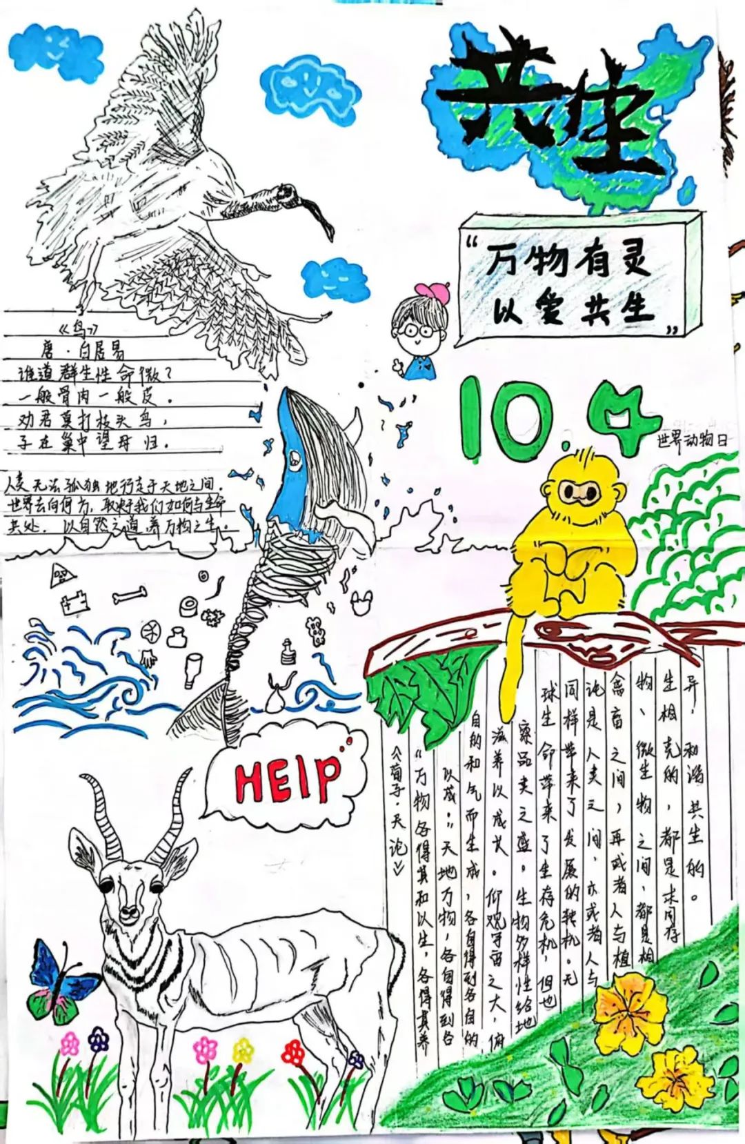 图片 图片