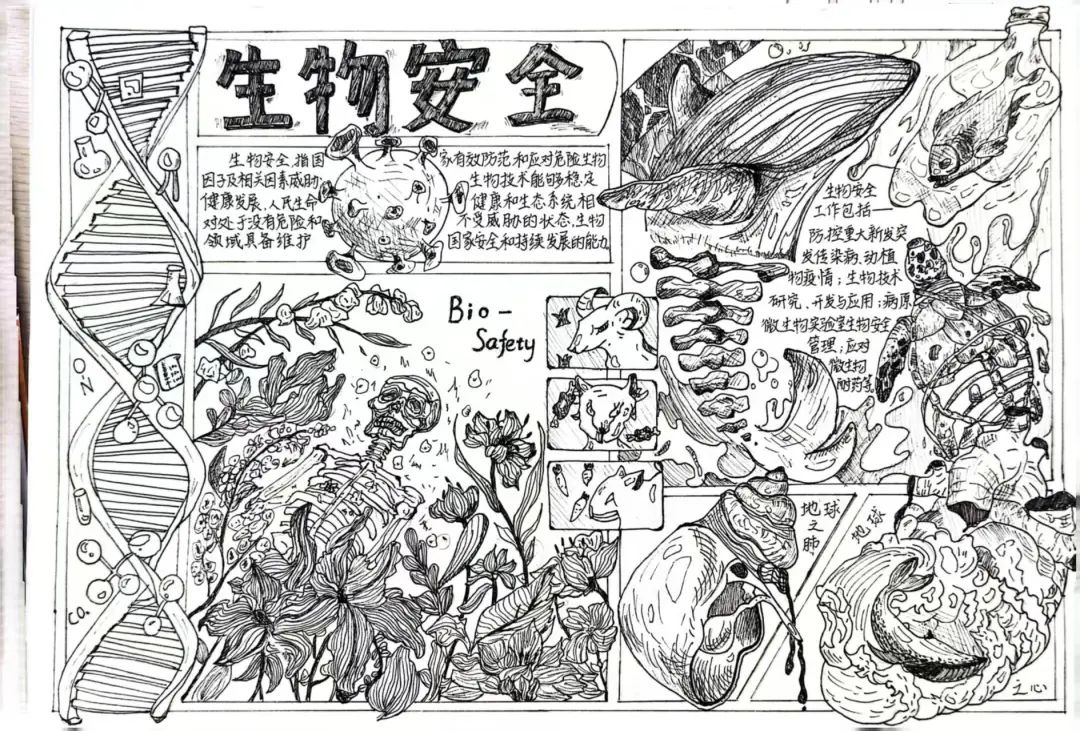图片 图片