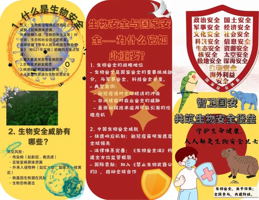 图片 图片