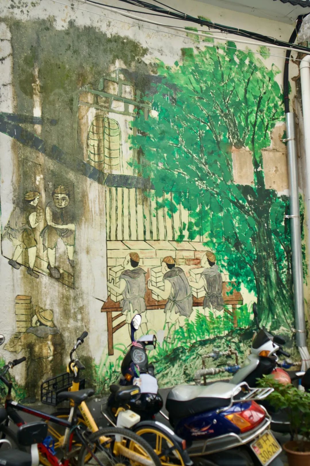 图片 图片